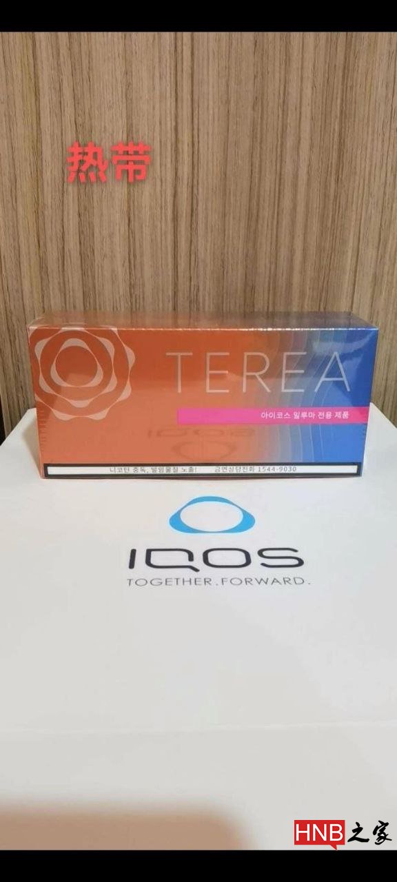 Korean version of Terea