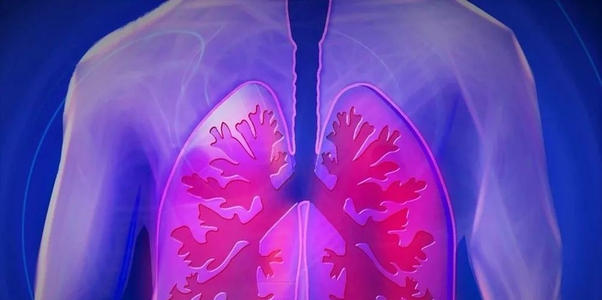 Dr. Polosa Persuades Italy to Exempt Vape Shops from Trading Restrictions
