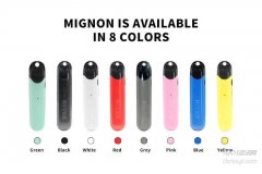 Mignon Refillable Disposable Pod Vape