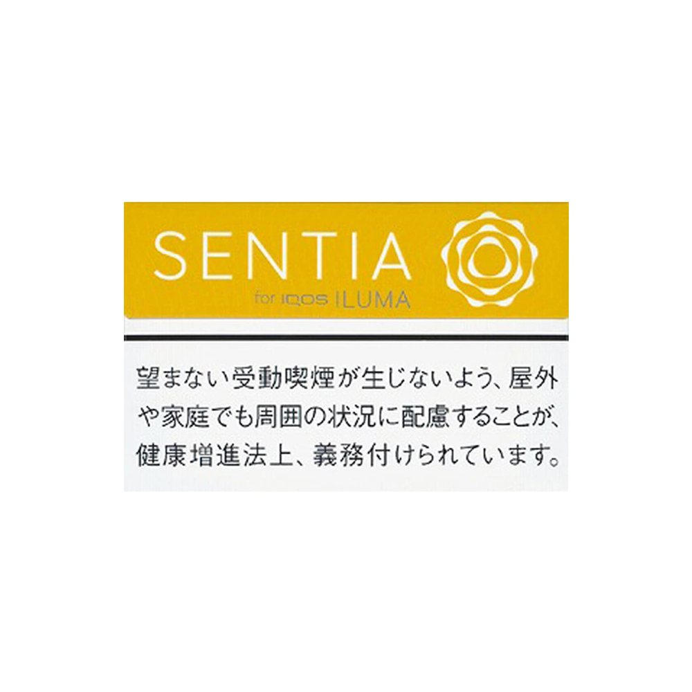 SENTIA Balanced Yellow 平衡黄