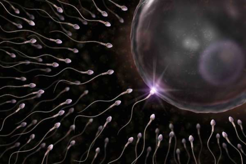 The effects of smoking on sperm