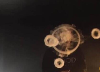 How to Blow Smoke Rings Tutorial