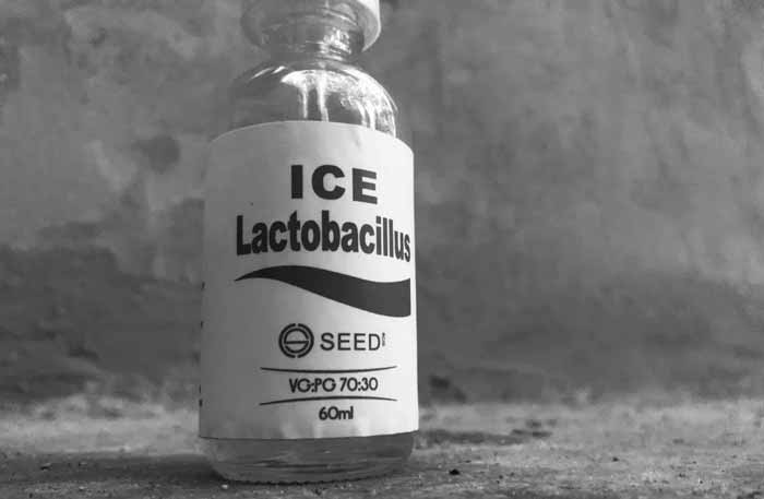 ICE Lactobacillus
