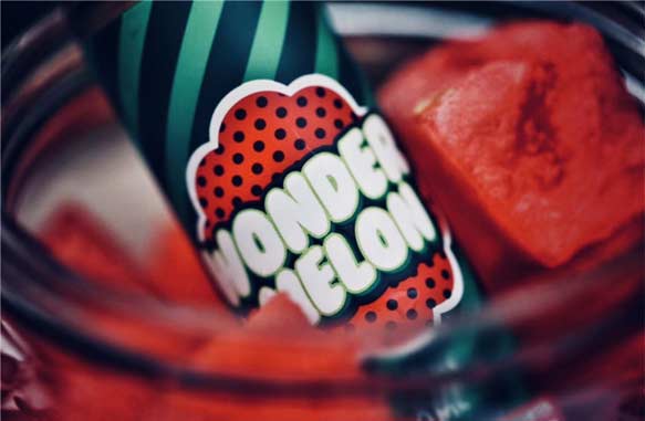 WONDER MELON Extreme Watermelon E-liquid