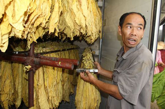 Ding Jie—Expert Tobacco Leaf Curer and Artist of the Leaf