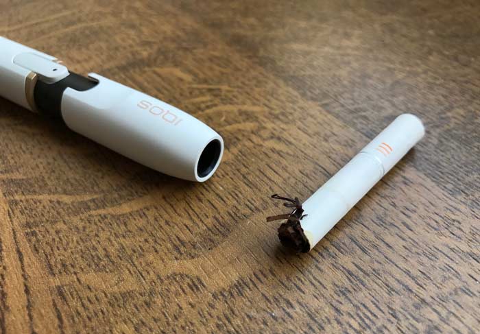 Is IQOS harmful to the body? Is Japanese IQOS harmful?