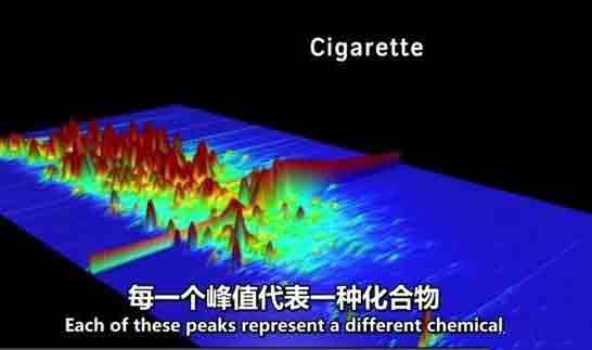 Are e-cigarettes harmful to people?