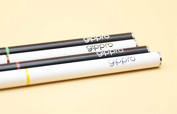 gippro SW-4 energy stick review
