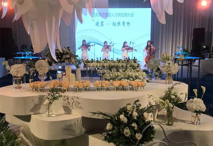 深圳麦克韦尔公司好吗,麦克韦尔公司待遇怎么样