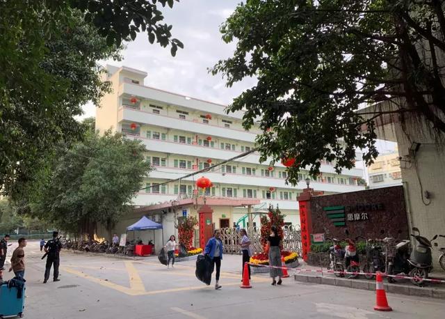 一次性电子烟厂家